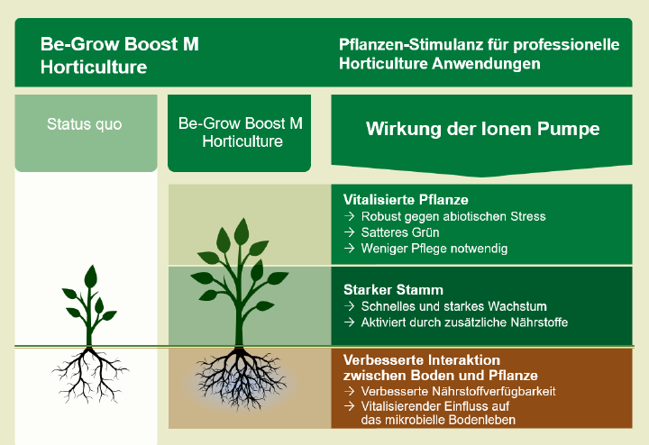 Be-Grow Boost M